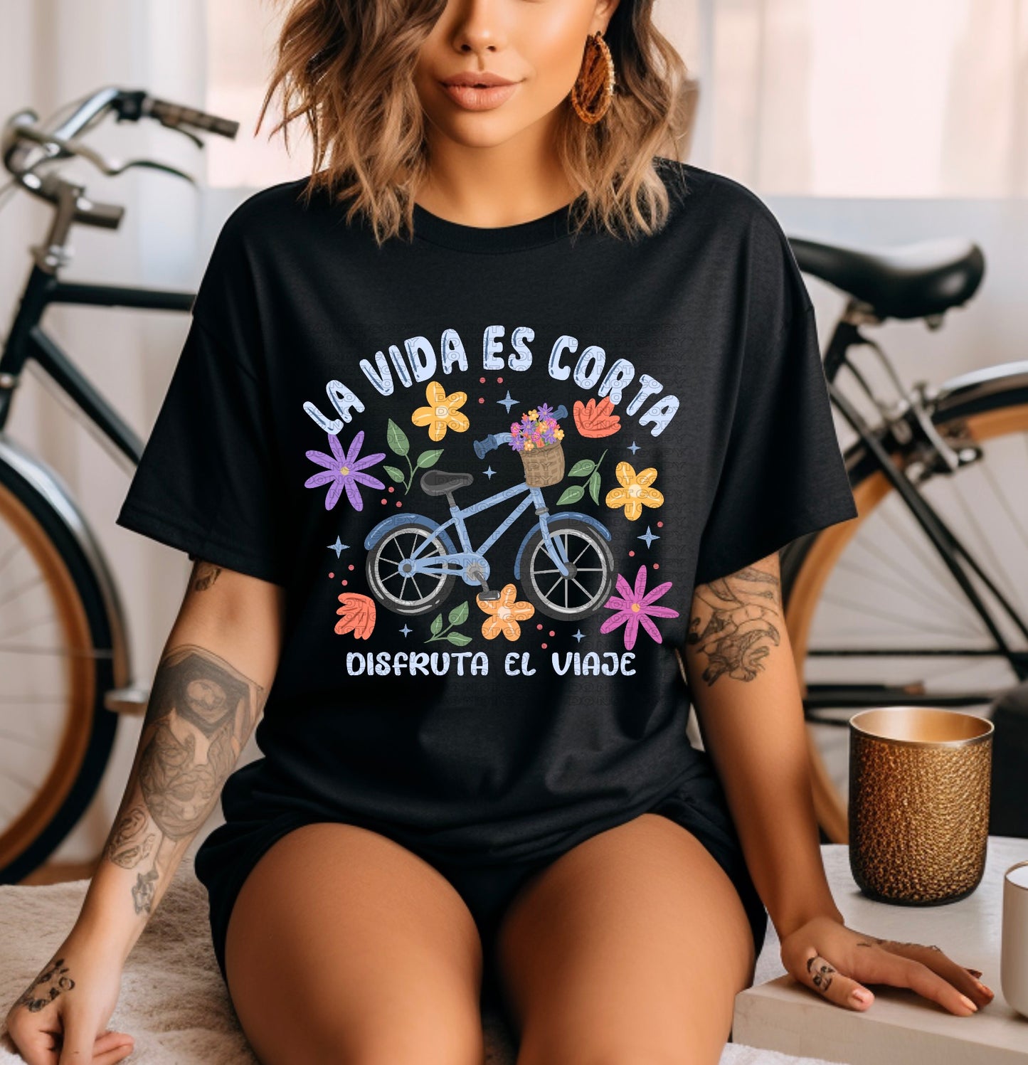 La Bicicleta PNGs (Gray/blue)